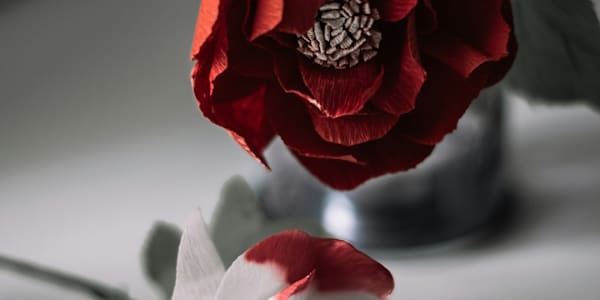 The Retribution Game It was a decent affair, much less than he’d made it