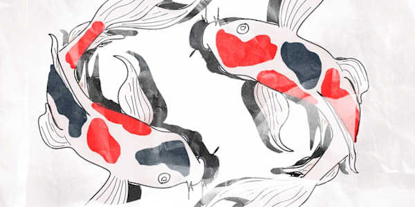 From The Cottage and The Church This is a synopsis/pitch/or something of