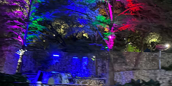 Would You Read Omegaverse? Omegaverse. The hidden vice of many a reader of