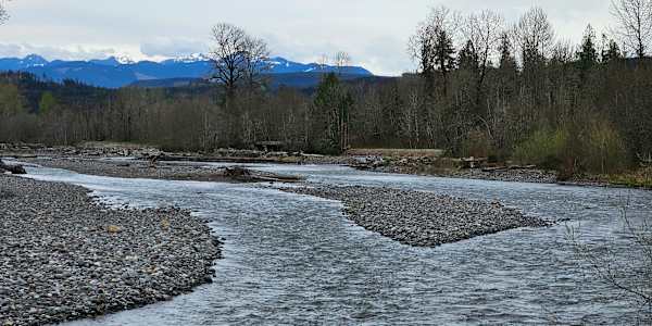 Being an Introvert in a Public World I love writing and performing. In