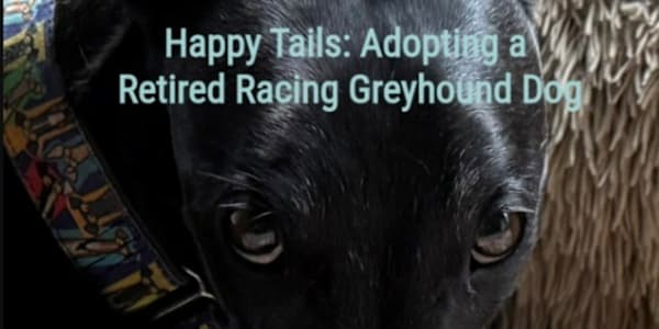 New E-Book Just Released! Available now on Amazon.com and Barnes &amp;