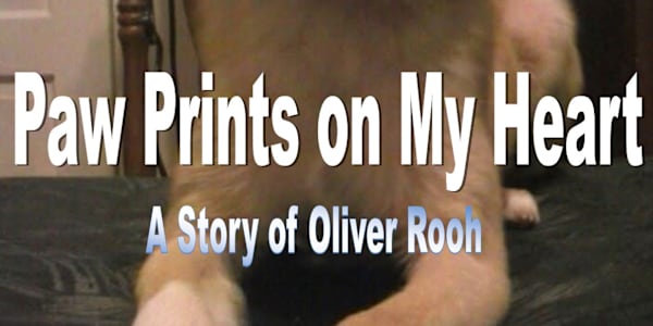 Paw Prints on My Heart-A story of Oliver Rooh It's the end of July. The