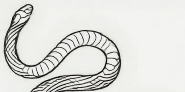 Ogopogo: legendary lake monster Ogopogo: Canada’s Legendary Lake