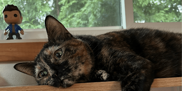 Writing a Grey Leading Man  When I first had the idea for A Job Well Done,