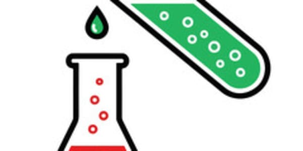 Diversity as Dilution Diversity is most certainly not a strength of the