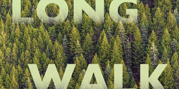 Long Walk Back Two city friends spend a weekend camping out in the woods of