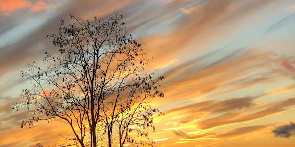 An Upcoming Book, A Book Signing, and an Autumn Greeting Gram’s