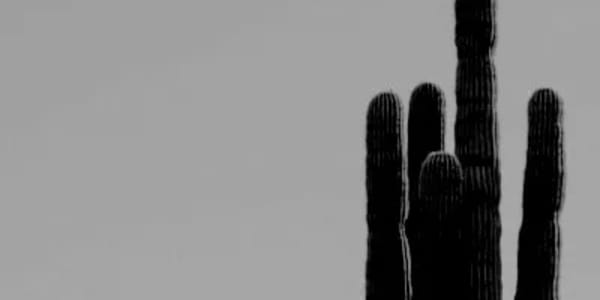 Fake Love Missives from Hell Coincidence upon coincidence.&nbsp;Keep