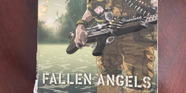 Fallen Angels by Walter Dean Myers Fallen Angels&nbsp;Walter Dean