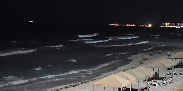 The Harsh Reality Is there anything more harsh than realizing the wrongs we