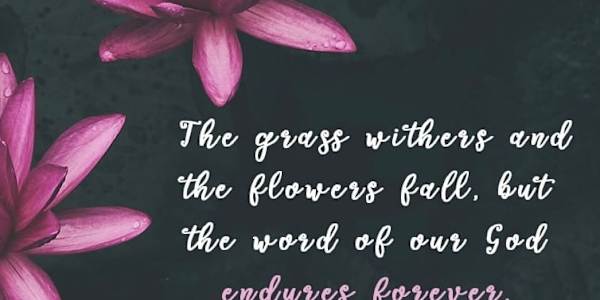 Book Reviews for March 2026 4tl5tkeclxchhye6c9my2b4r7zfp 178.27 KBRomantic