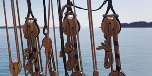 Force Multipliers Considered in a certain light, the amazing progress of