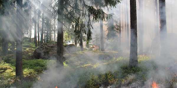 After the Fire, the Ruins Still Warm I didn’t know a person could die