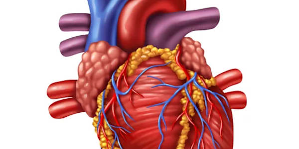 Family history and Cardiovascular Disease &nbsp;&nbsp;Family history and