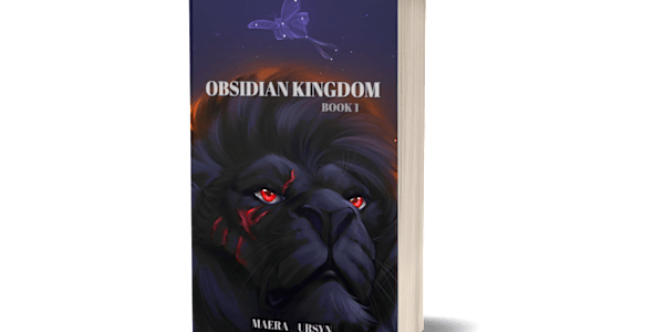 New Ebook/Limited Edition Book Cover! Shout out to Rabbit for making our