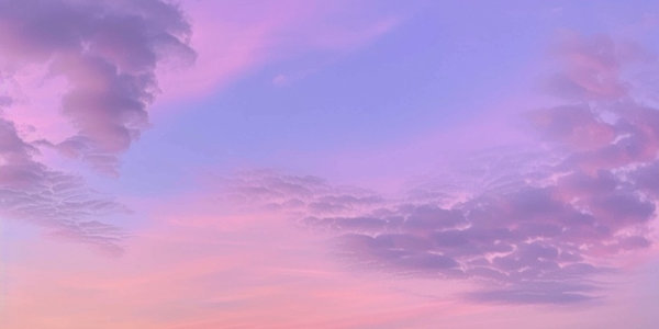 MIASMA BONUS CHAPTER - The Honeymoon Want to know what happened after Piper