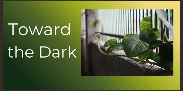 Toward the Dark A young vine, given the choice, will grow toward the