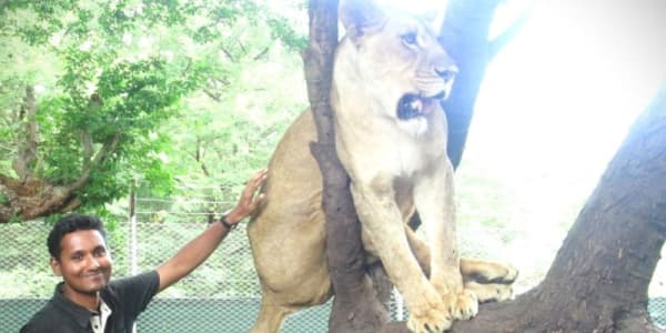 A post about Leadership