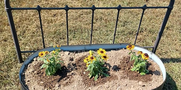 Raised Flowerbeds with Repurposed Metal Trellises  This DIY project yields