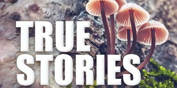 True Stories: The Narrative Project, Volume VII True Stories: Volume VII is