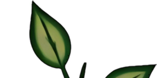 THERE MORE TO ME THAN THE WRITTEN WORD 14 Country Songs. COUNTRY COLLECTIVE