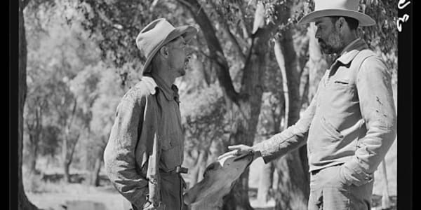 Mountain Lion Bounties and Predator Control in New Mexico In 1915 Congress