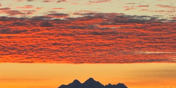 How NOT to Start a Year When beauty is armor