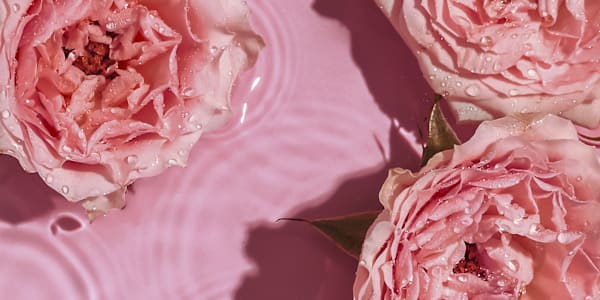 Can't get enough of Devious Delights?  I wanted to offer something extra to