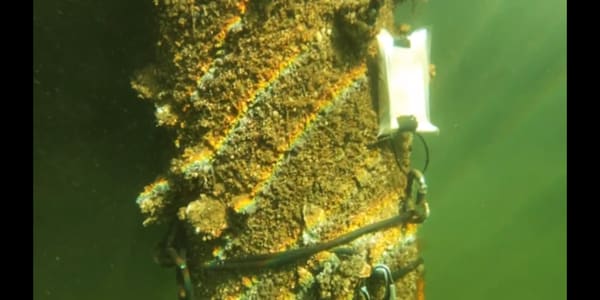 Interview with the author From Combat Diver to Author: Arnar Vik Takes Us