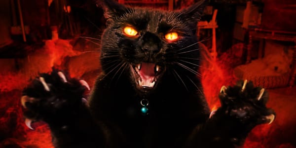Demon-cat season &nbsp;During peak demon-cat season, Wick finally escalated