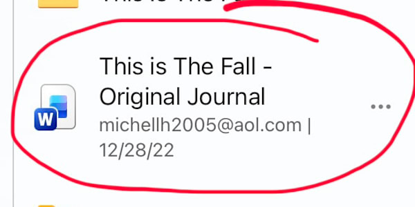 Amber’s Apocalypse - A Travelogue Companion to This is The Fall:  The