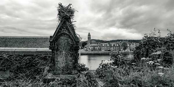 A Stupid Heart Though he knew a lot of things, without knowing why, and had