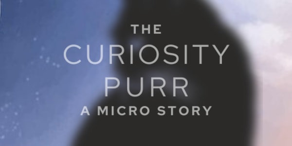 The Curiosity Purr Ever wonder what goes on in a cat’s head? In this micro