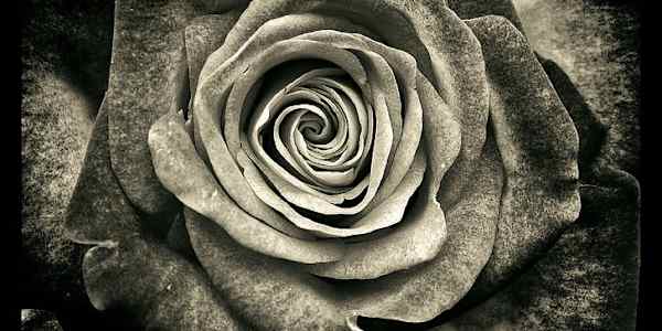 Before You Make That Next Mistake Before you make your last mistake, though