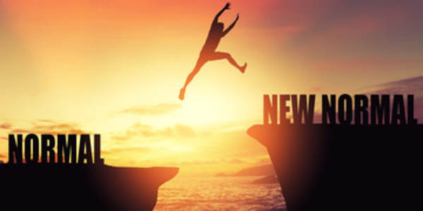 The New Normal “The real hopeless victims of mental illness are to be found