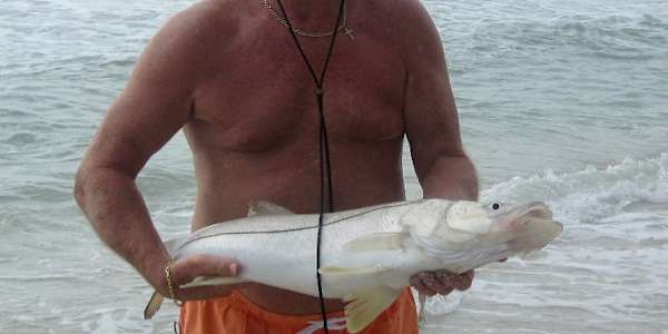  Real fish I caught off the beach in Naples Florida