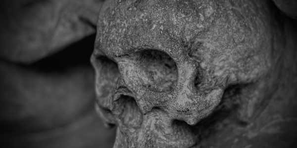 Excerpt from The Plague of Howling Red: Student Body Sonata I remember