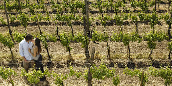 This year, spend some time in the warm Napa Valley It's a New Year and I've