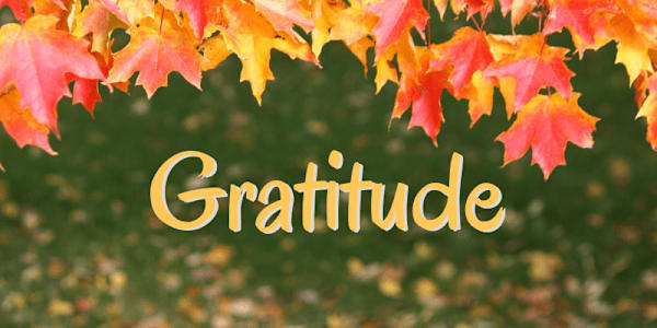 Gratitude Whenever I have a fortune cookie, I have to read the fortune.