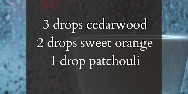 Rainy Day Bookshop Essential Oil Diffuser Blend for Readers Scents for
