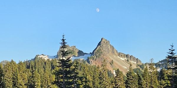 Scorpions in our midst Anyone that has ever been around someone who is loud