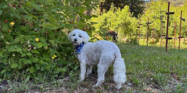 July Newsletter I don't think it's just me, but time is moving so