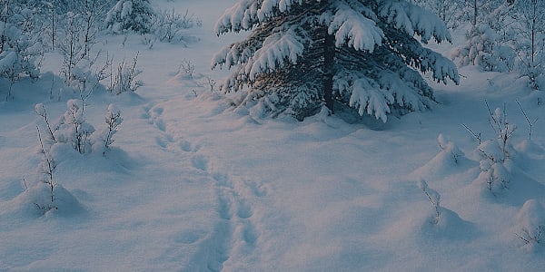 November Reflections: Whirlwinds, creativity, and a Life-changing read!