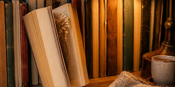 Indie Author News: Reviving Your Backlist A recent episode of The Indy