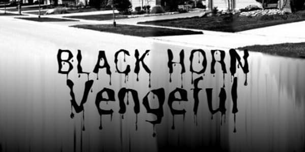 RELEASE - BLACK HORN VENGEFUL  FOR IMMEDIATE RELEASE&nbsp;DARK VEIL AUTHOR