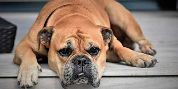 Aphro, Hybris and The Heaven The universe is all about space and time and