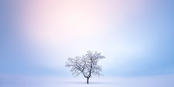 Leading in the Silence Most leaders don’t break when things are hard.They