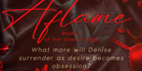 Another Steamy Read from Jordyn Haart Jordyn Haart’s Vixen Aflame, the