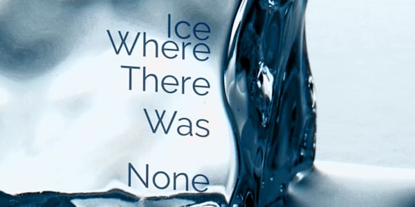 Ice Where There Was None &nbsp;A block of ice in a Florida park. A victim