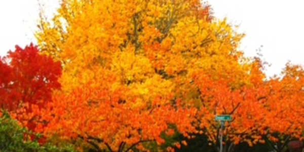 Yesvember! Its November already! Or as I like to call it: Yesvember! Seems